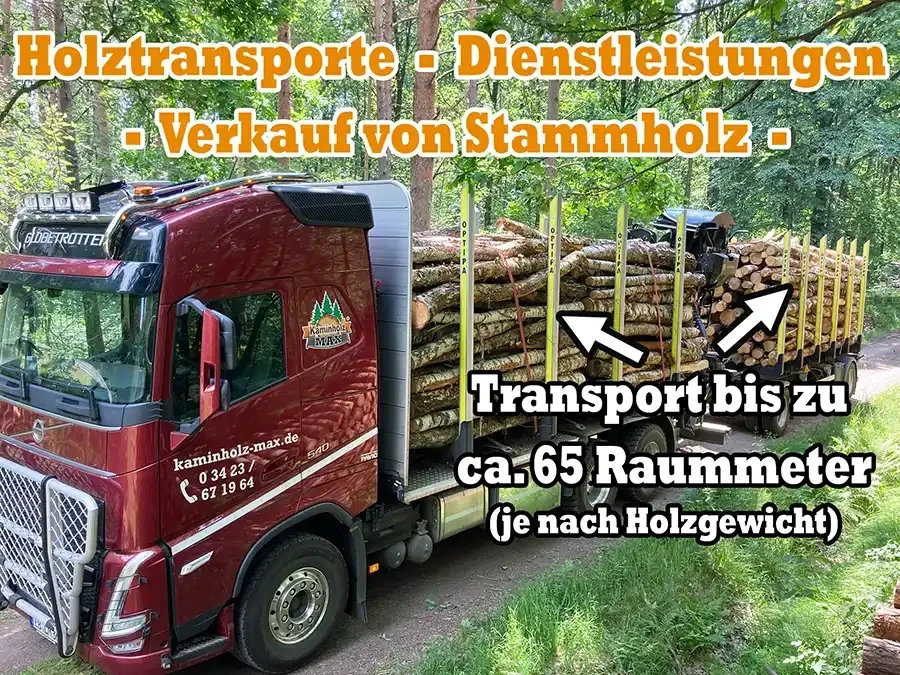 LKW-Transport von Stammholz im Wald, Dienstleistungen und Verkauf von Kaminholz, Februar 2026