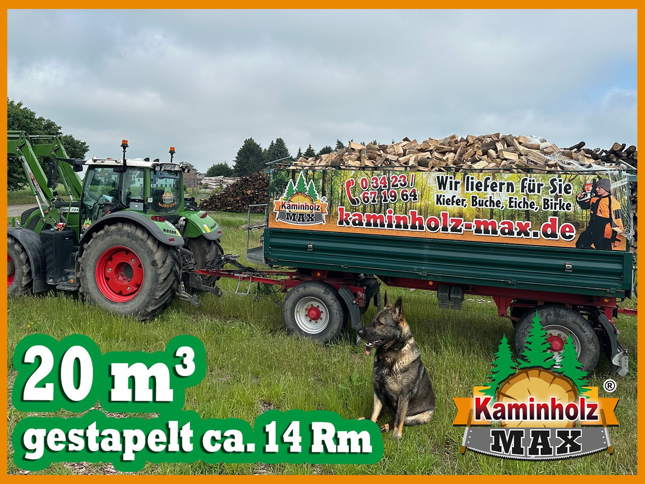 Traktor mit Anhänger von kaminholz-max.de, beladen mit Kaminholz, auf einer Wiese, daneben ein Schäferhund