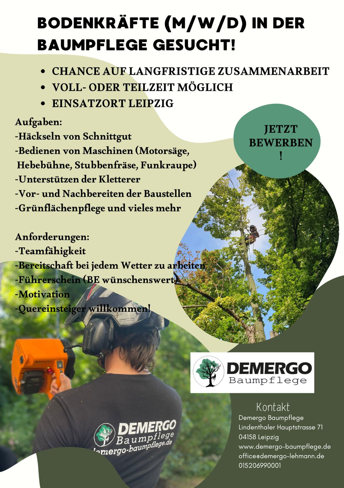 Stellenangebot Baumpflege Leipzig – DEMERGO Baumflege sucht Unterstützung für Baumarbeiten Stellenanzeige Baumpflege Leipzig bei DEMERGO Baumflege, Baumkletterer mit Motorsäge bei der Arbeit