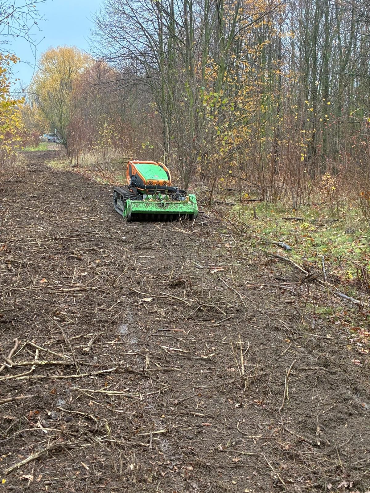 Rodungsarbeiten und Baumarbeiten in Leipzig durch Demergo Baumpflege – ferngesteuerter Mulcher bei der Rodung eines Waldstücks