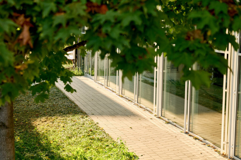 Gepflegte Pflasterflächen vor einem modernen Gebäude in Remchingen, aufgenommen von Grüner Daumen am 18.09.2026