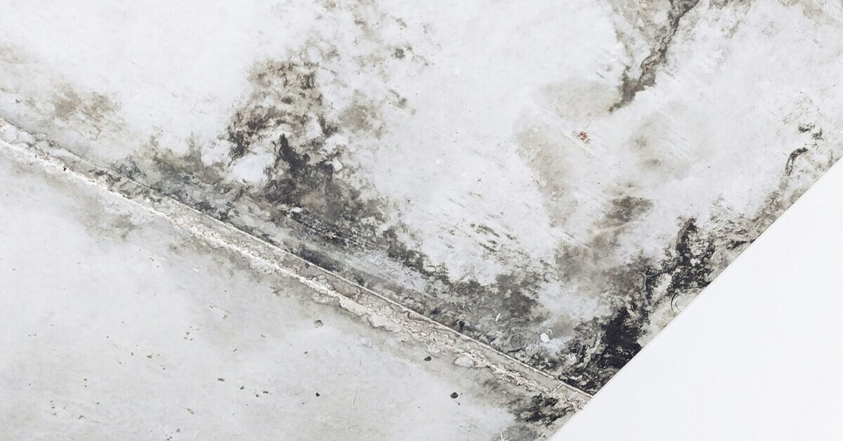 Schimmel an einer Wand oder Decke, Feuchtigkeitsschaden sichtbar