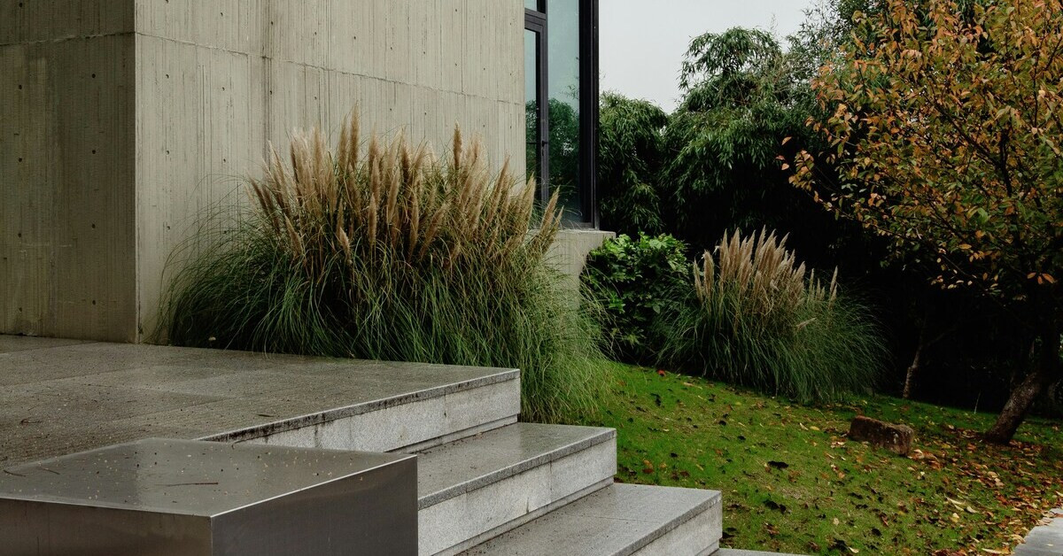 Moderne Betonterrasse mit Ziergräsern und Gartenansicht