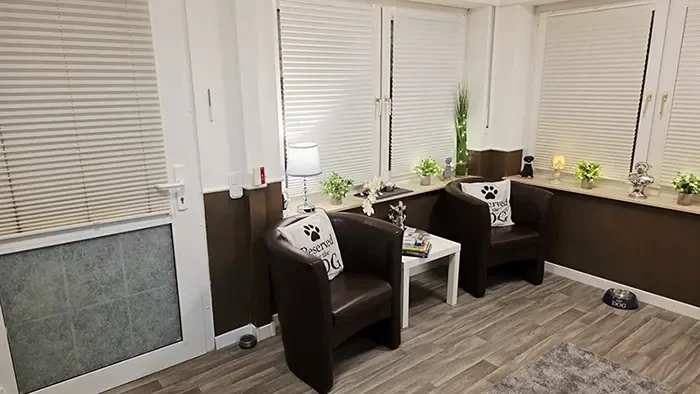 Gemütliche Warteecke mit zwei braunen Sesseln, Kissen mit Hundepfoten-Motiv und Dekorationen auf Fensterbank