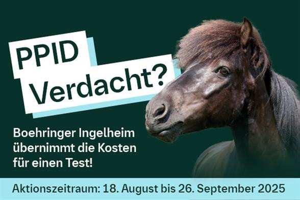 PPID Verdacht bei Pferden – Boehringer Ingelheim übernimmt die Kosten für den Test