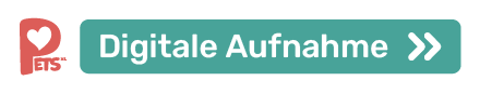 Grafik mit dem Text 'Volle Aufmerksamkeit' auf grünem Hintergrund