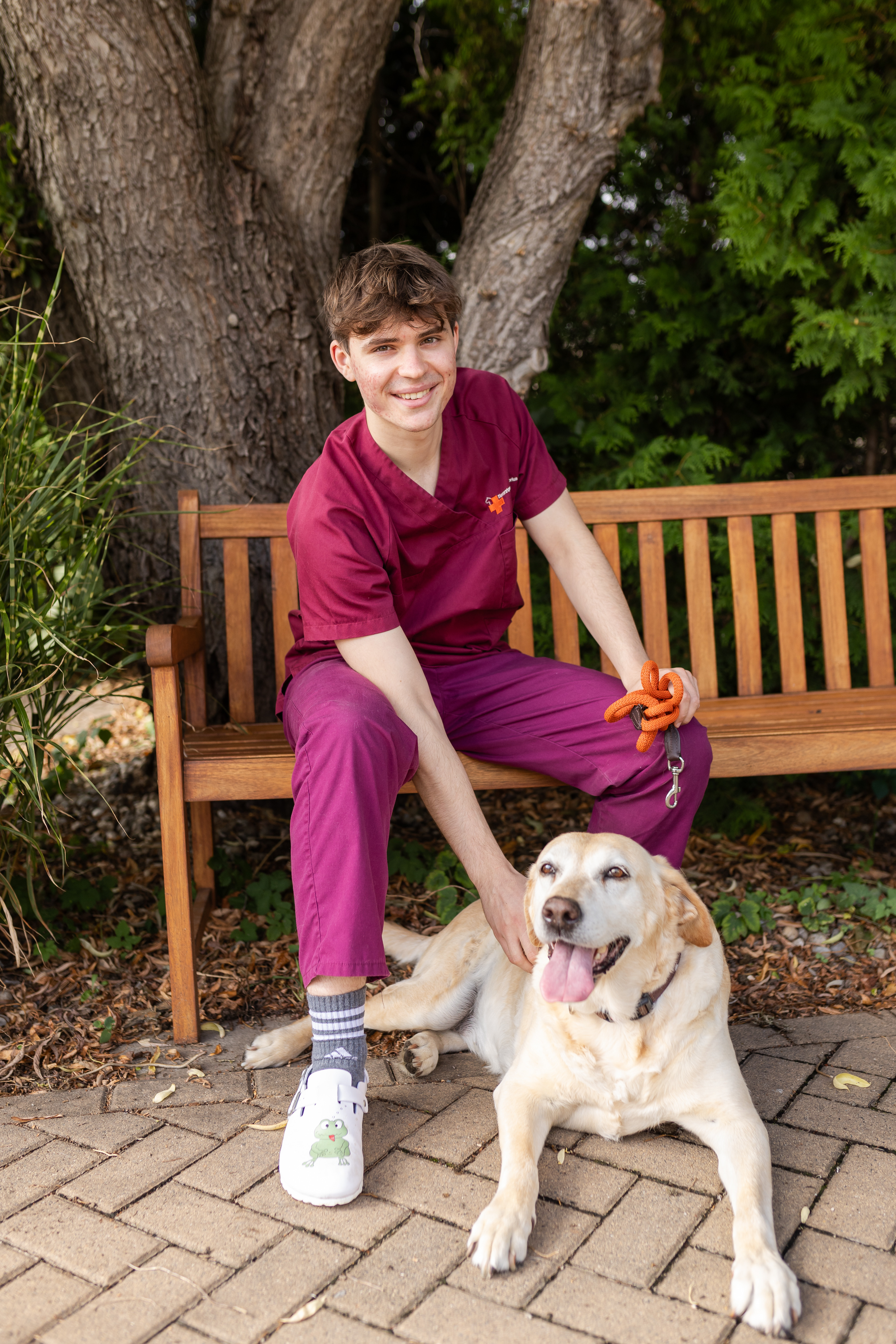 Tierarzt in bordeauxfarbener Kleidung sitzt mit Hund auf einer Holzbank im Freien