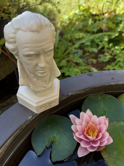 Büste neben einer blühenden Seerose im Garten