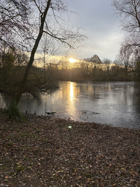 Herbstlicher See mit Sonnenuntergang als Symbol für den Lebenskreis