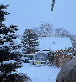 Verschneiter Garten im Winter mit Haus und Tannenbe4umen