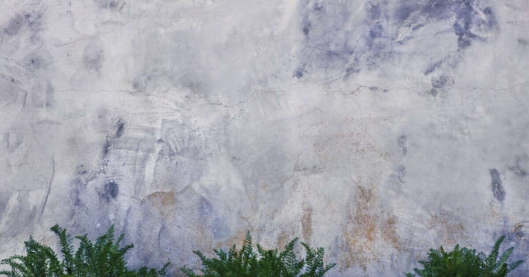 Lasurtechnik in Blau auf einer Wand mit Pflanzen im Vordergrund