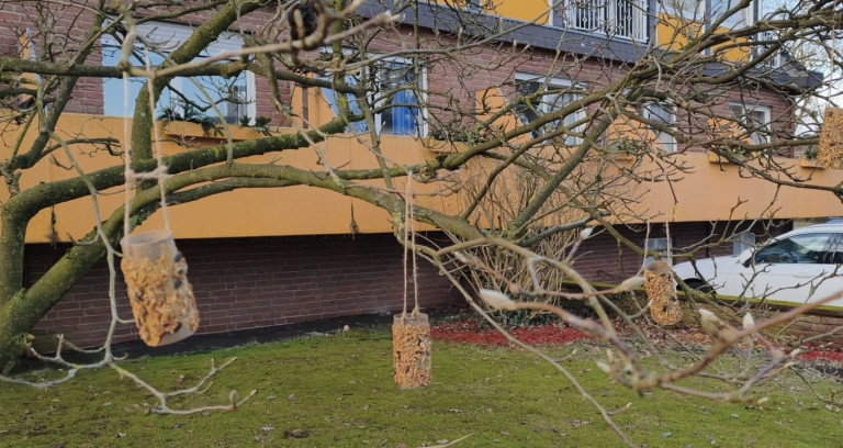 Vogelfutterspender aus Samen und Nüssen hängt an einem Baum vor einem Wohnhaus