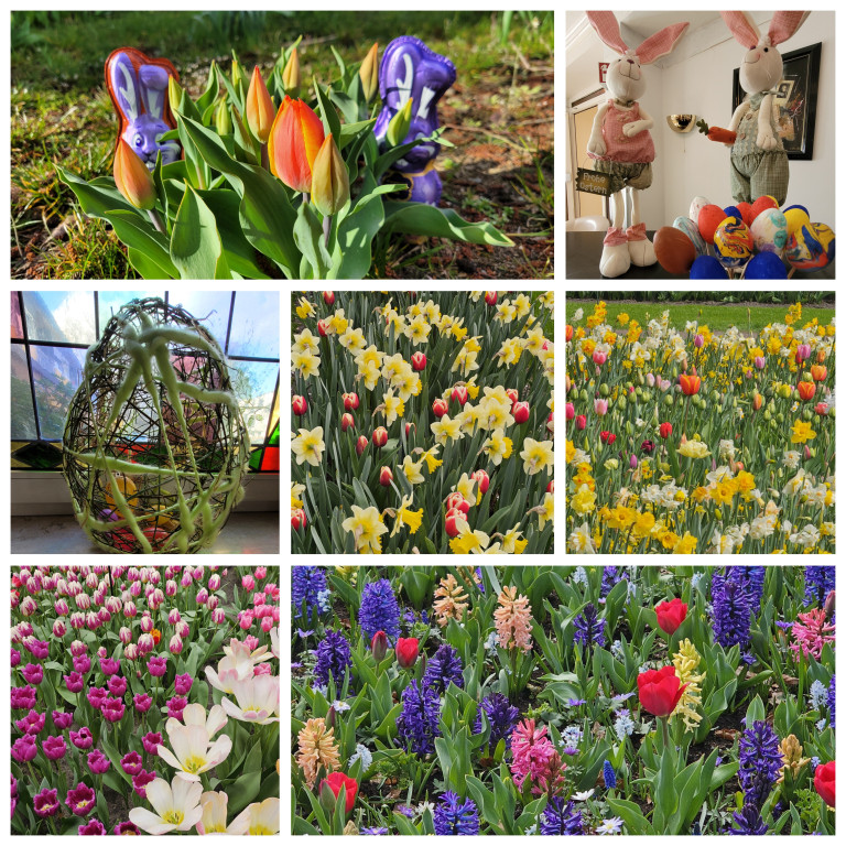 Collage aus Frühlingsblumen, Ostereiern, Osterhasen und bunten Tulpen im Frühling