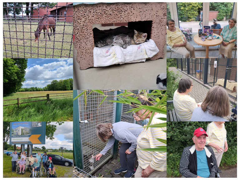 Tierheim-Besuch mit Senioren – Tiere erleben und entspannen im Grünen Collage aus Tierheim-Besuch mit Senioren: Pferde auf der Weide, Katzen im Gehege, Senioren beim Beobachten und Streicheln von Tieren sowie entspannte Momente im Grünen.