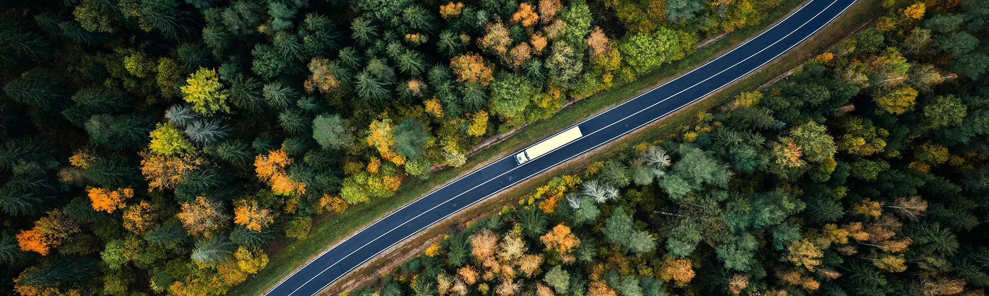 LKW auf Landstraße im Wald – Symbolbild für nationale Transporte in Deutschland