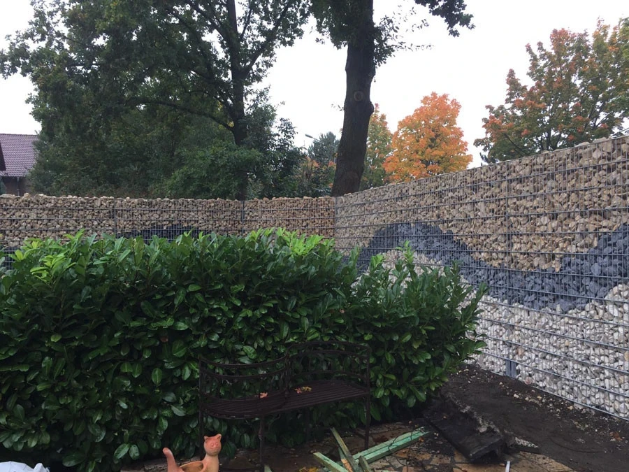 Natursteinarbeiten Referenzen – Gabionenwand im Garten als Sichtschutz mit Bepflanzung