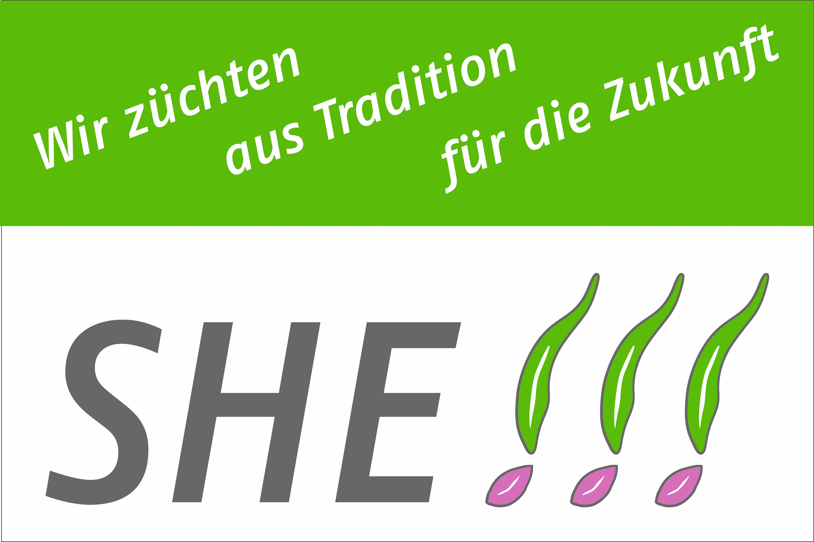 Logo der Saatzucht SHE mit dem Slogan 'Züchten aus Tradition für die Zukunft' und stilisierten Keimlingen