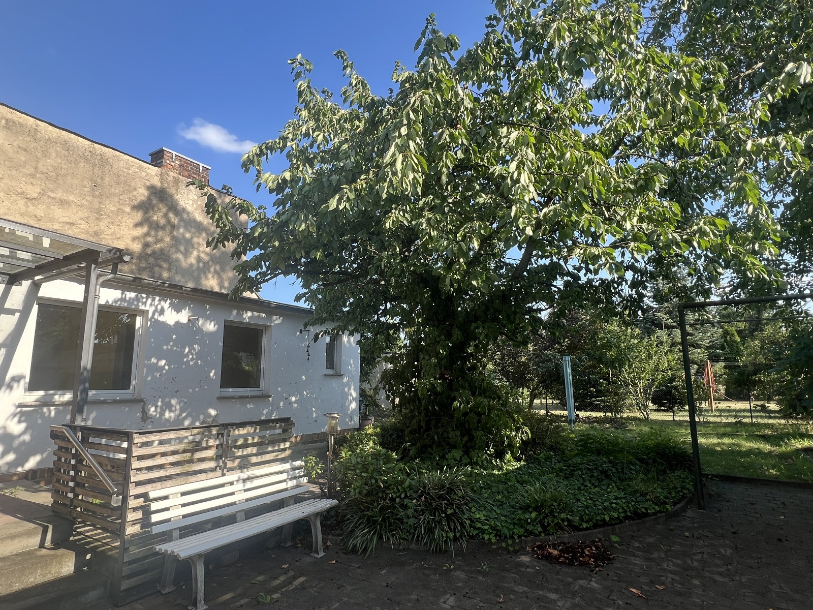 Garten mit großer Baumkrone, weißer Bank und Hausfassade an einem sonnigen Tag