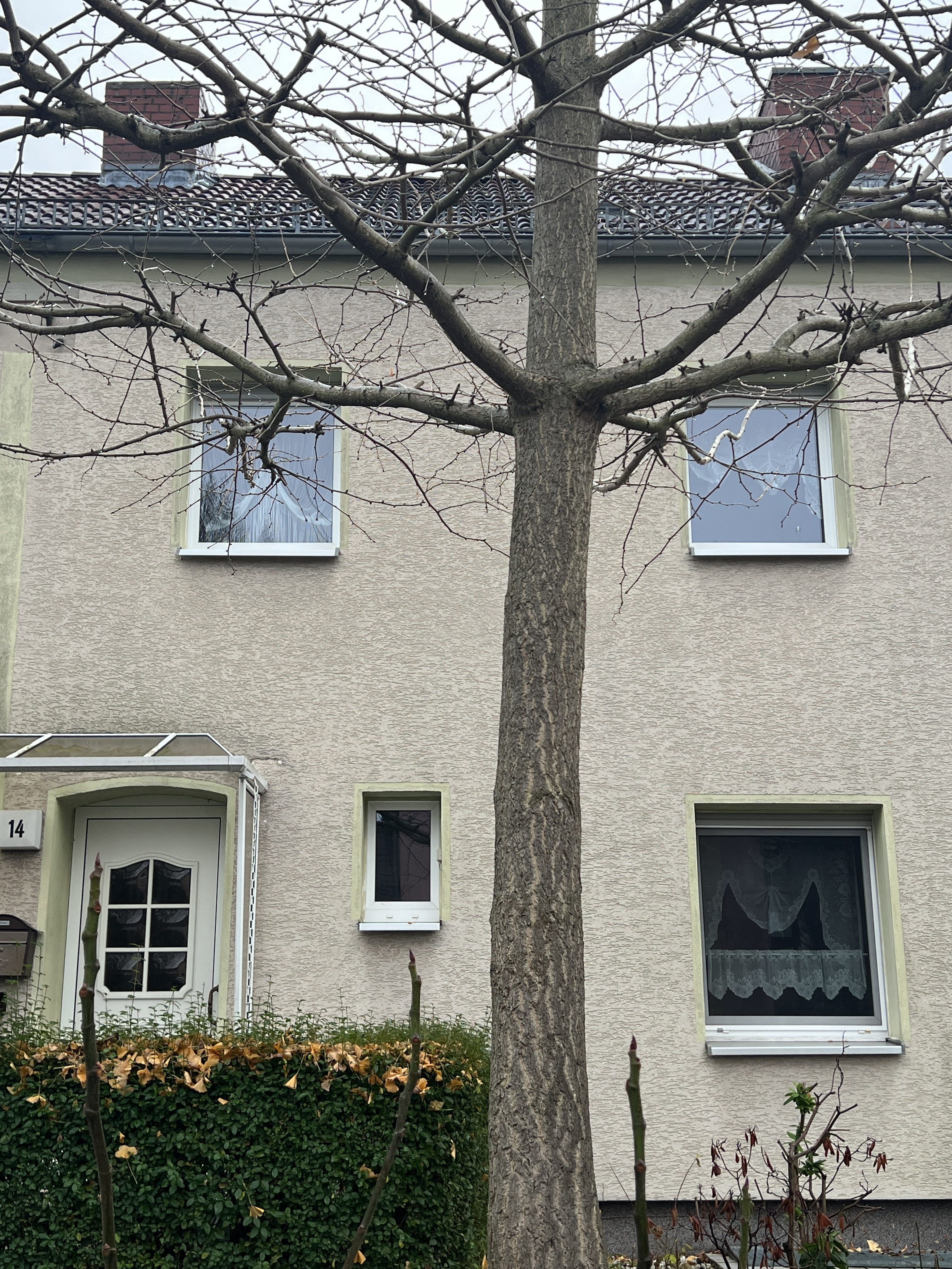 Titelbild: Fassade eines Wohnhauses mit Baum im Vordergrund