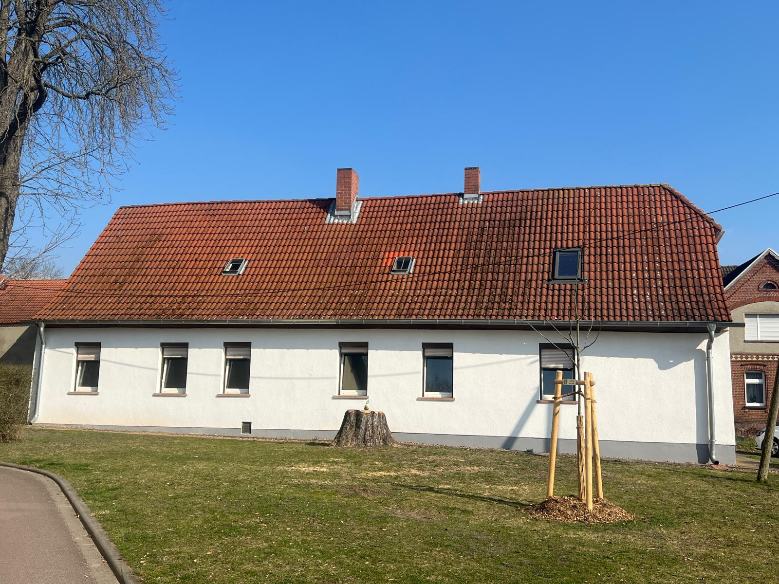 titelbild eines Einfamilienhauses mit rotem Ziegeldach, Baumstumpf und frisch gepflanztem Baum im Vordergrund