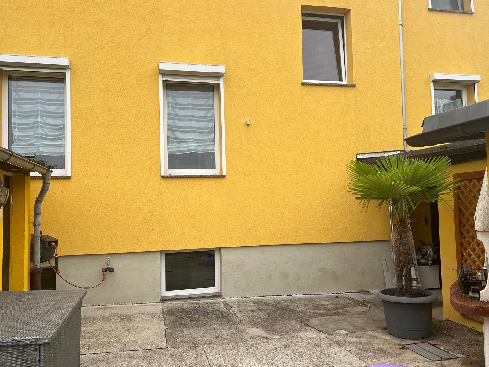Gelbe Hausfassade mit Fenstern und einer Palme im Topf auf einer Terrasse