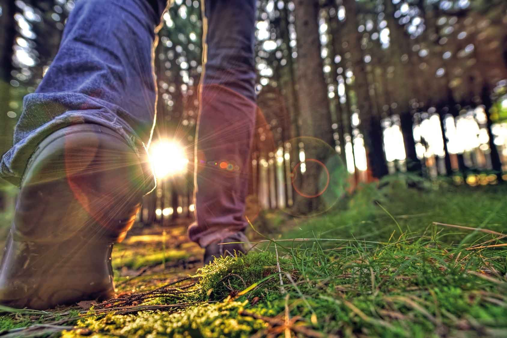 Das grüne Hannover lädt zur Entdeckungstour ein und hat viel zu bieten. Foto: © Miredi – Fotolia.com