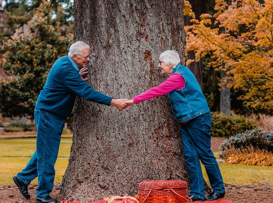 Älteres Paar hält Händchen an einem großen Baum im Park im Herbst