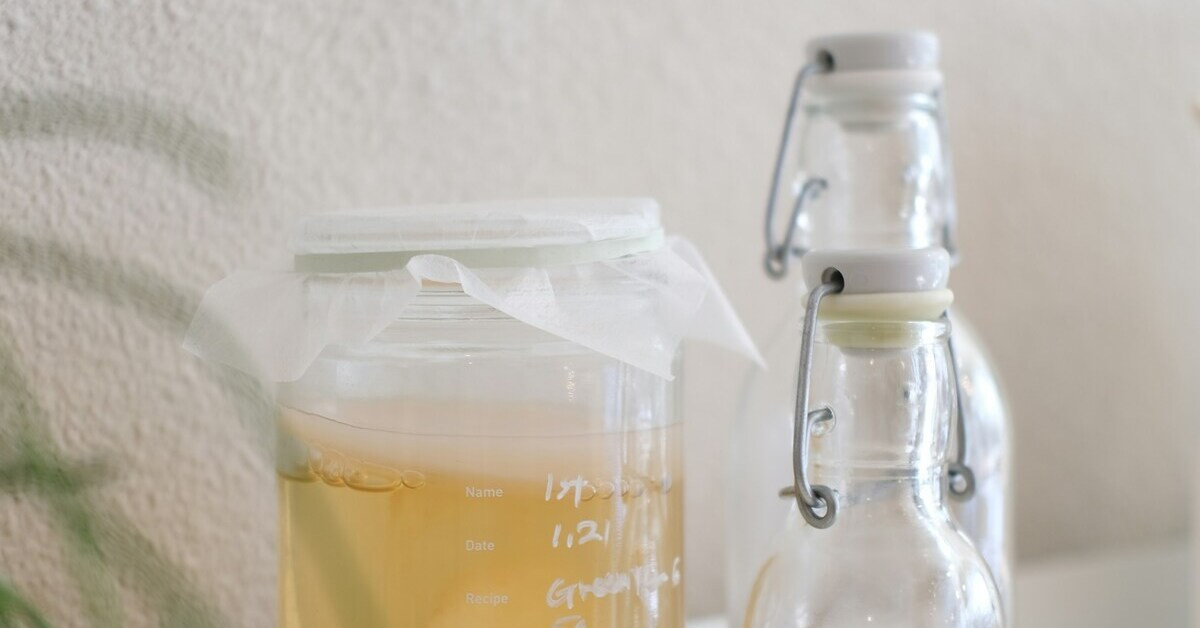 Kombucha Garung im Glas während der Fermentation