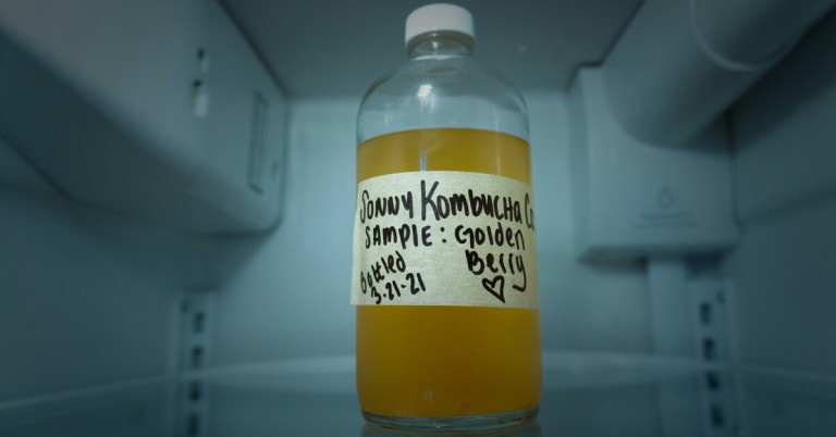 Selbstgemachter Kombucha in einer Glasflasche im Kühlschrank