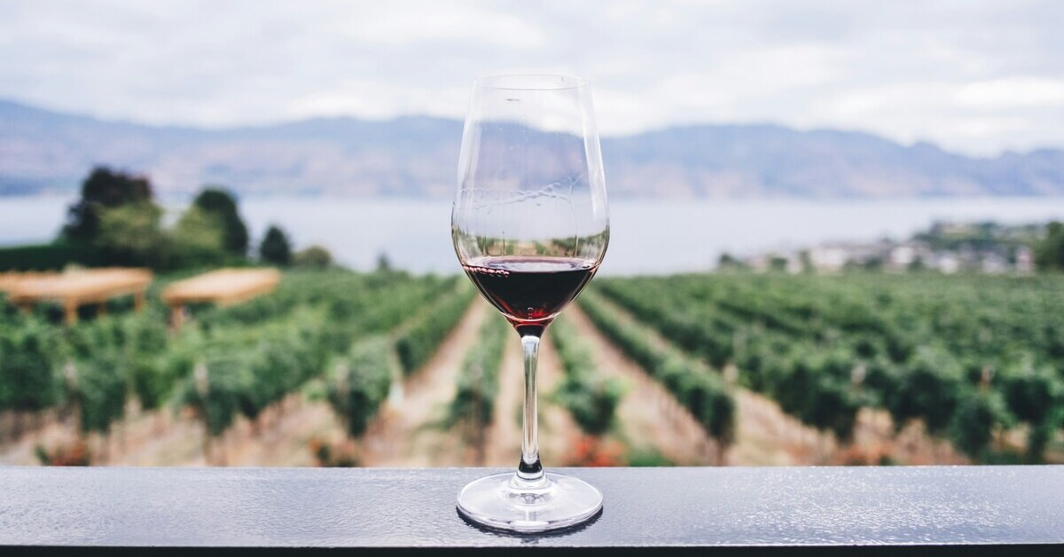 Naturwein im Weinglas vor Weinberg und Landschaft