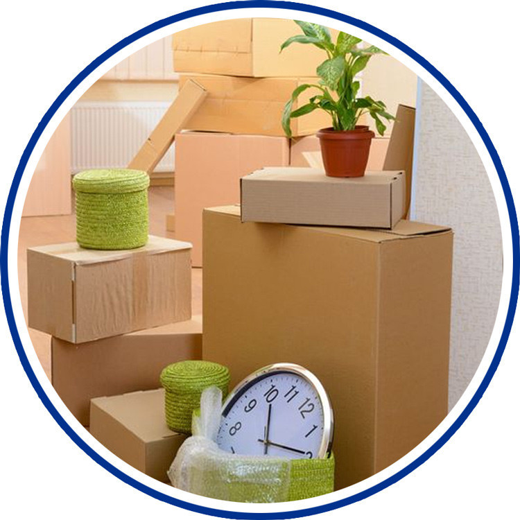 Spehr Umzug planen – Tipps und Organisation mit Umzugskartons Spehr Umzug planen – Umzugskartons, Uhr und Pflanze im Kreis-Design