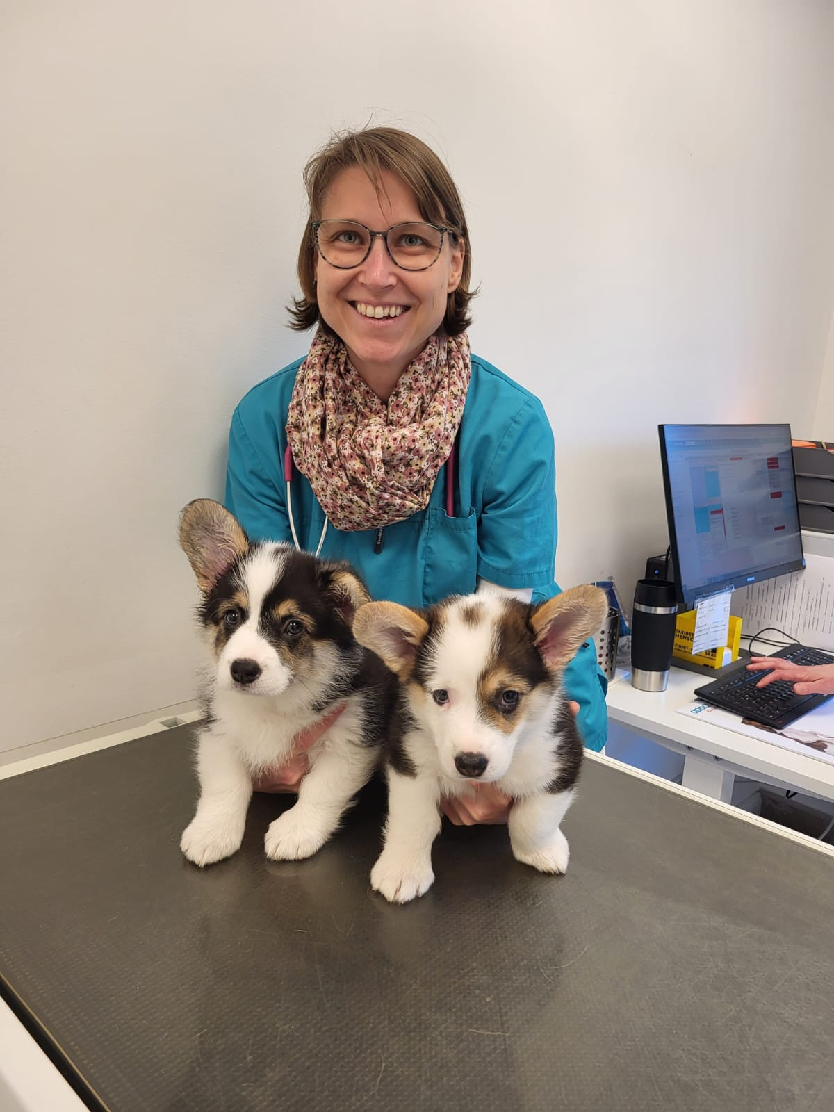 Marion Holle als Tierärztin mit zwei Hunden in einer Tierarztpraxis