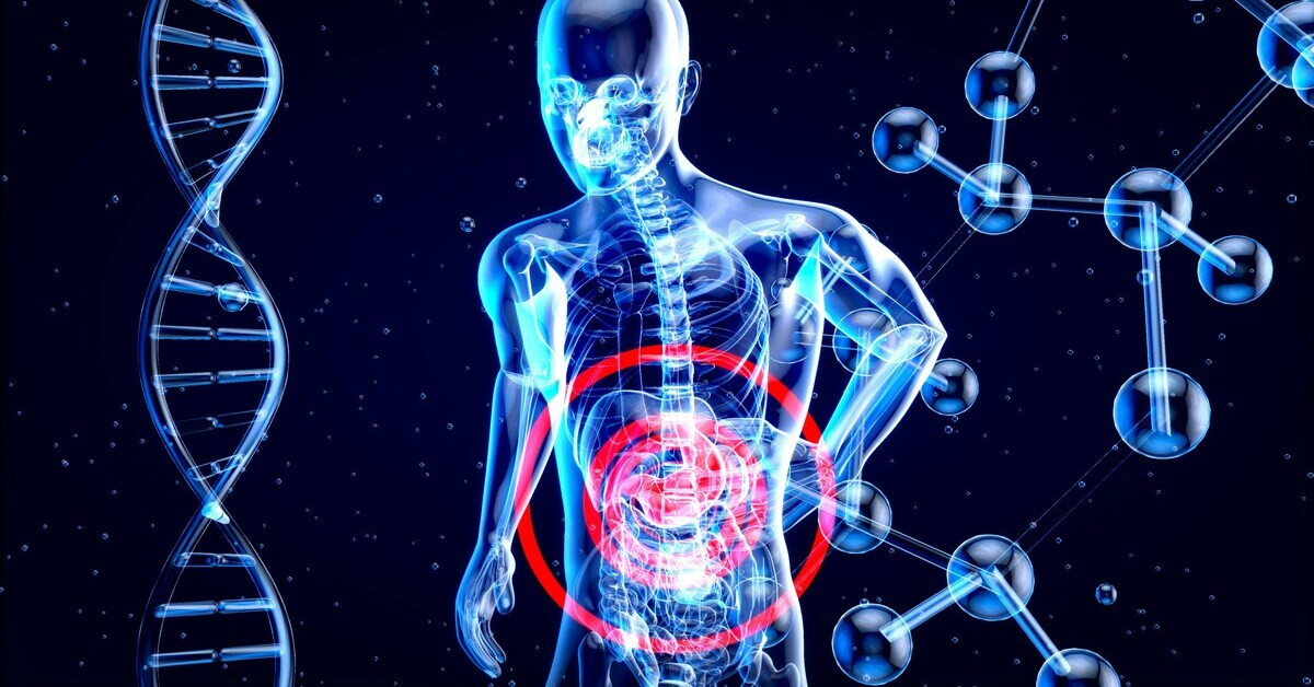 3D-Darstellung der Darmgesundheit und des Verdauungssystems 3D-Darstellung des menschlichen Verdauungssystems zur Darstellung der Darmgesundheit