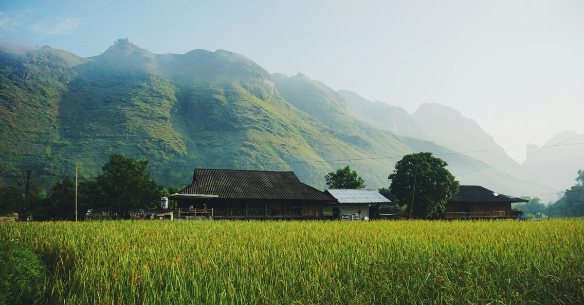 Traditionelles Haus und Reisfeld vor grünen Bergen in Vietnam, Südostasien