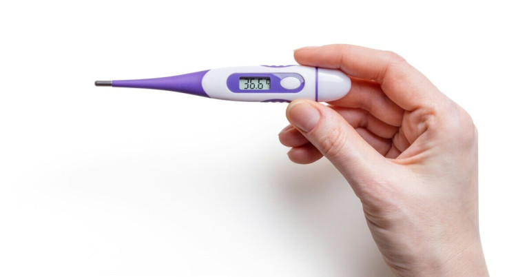 Digitales Fieberthermometer in einer Hand, Anzeige 36,6 Grad Celsius