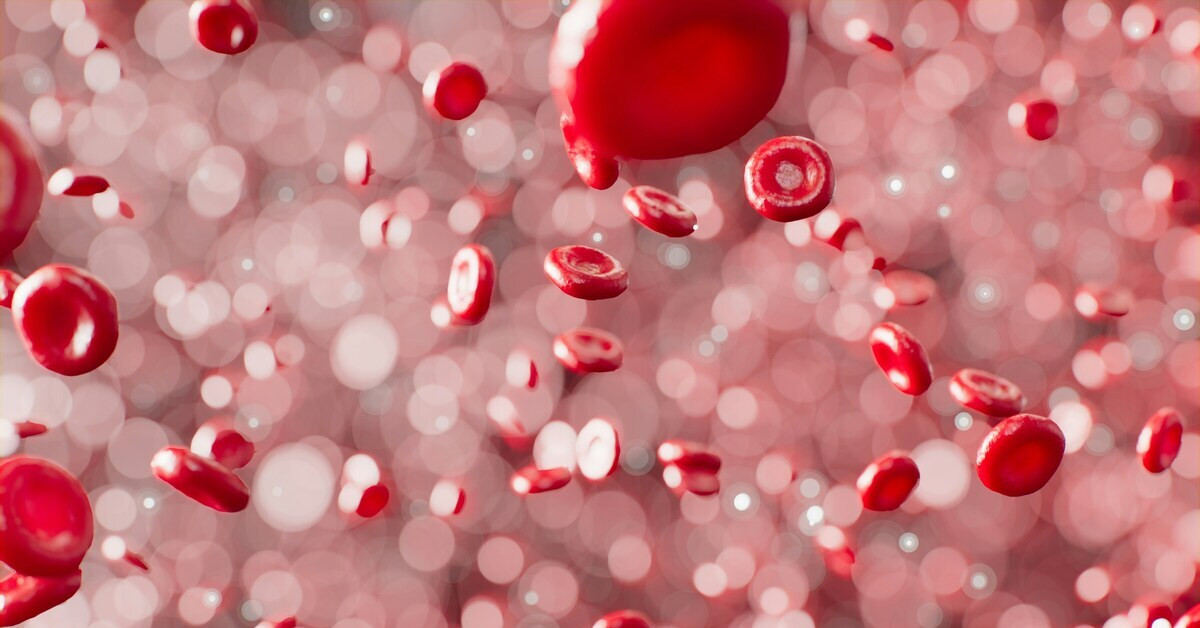 Blutkörperchen in einer Nahaufnahme, rote Blutzellen vor verschwommenem Hintergrund