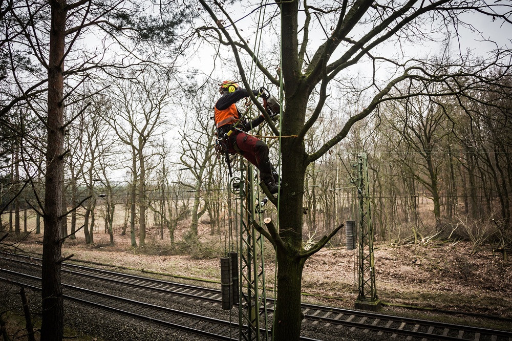 Baumpfleger arbeitet an einem Baum neben Bahngleisen – Sicherheitsmaßnahmen an Bahnstrecke