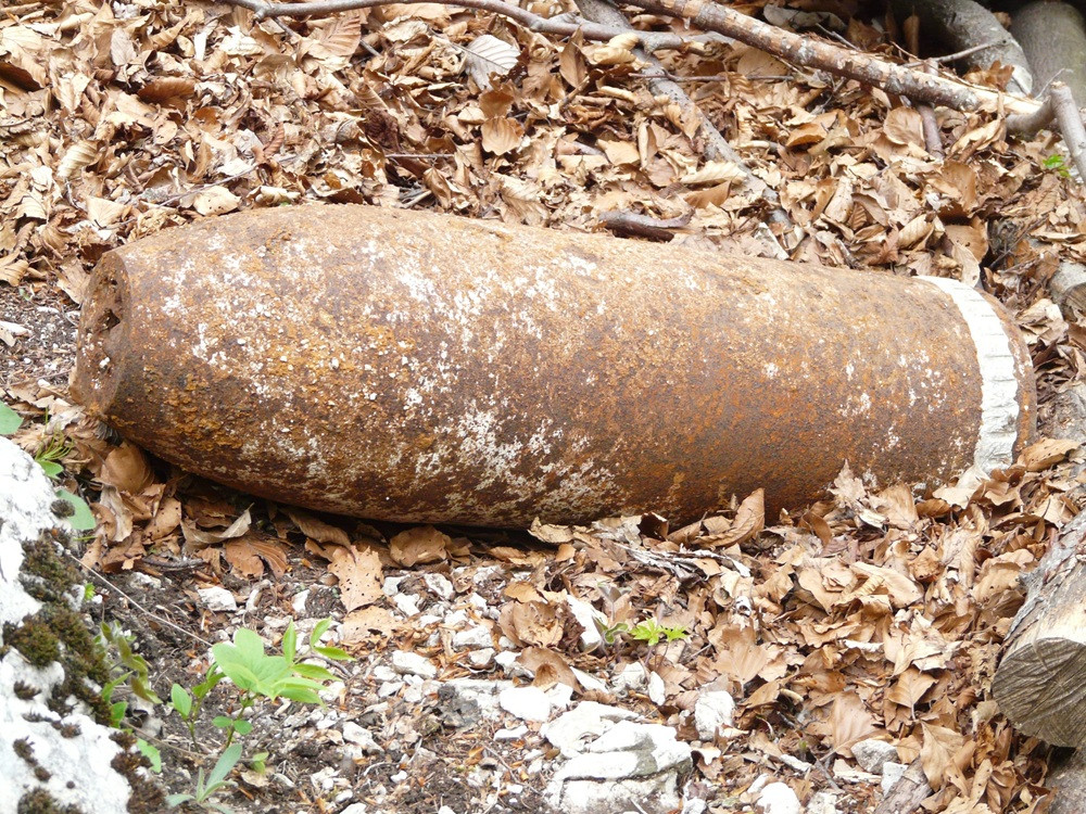 Rostige Granate im Laub – hans-grenade-7107