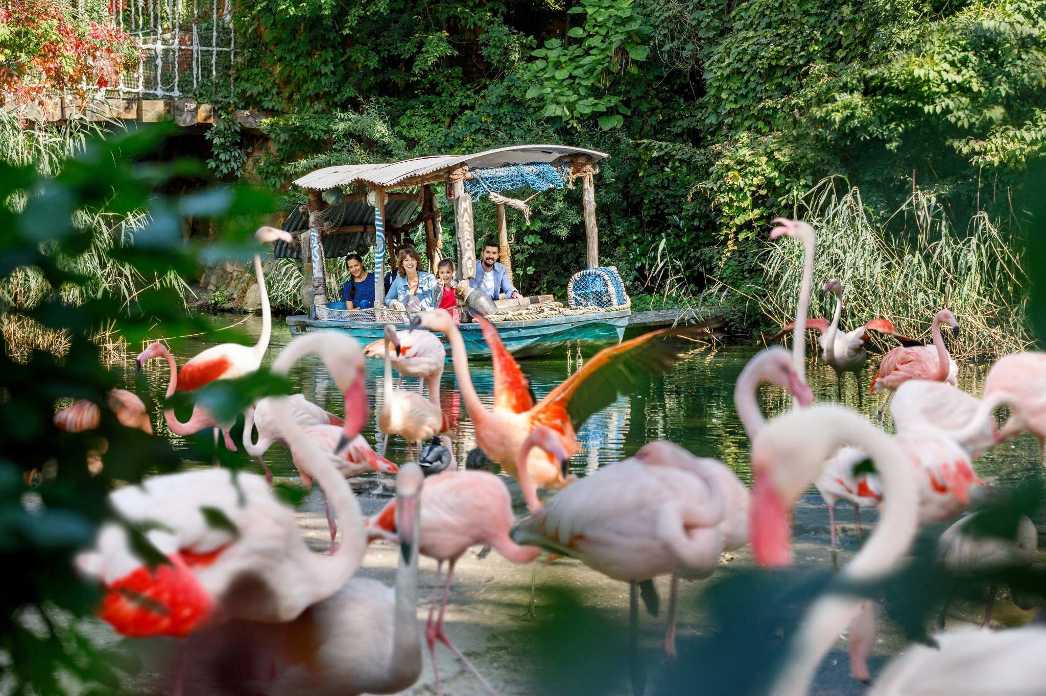 Familie auf Bootstour zwischen Flamingos im Grünen