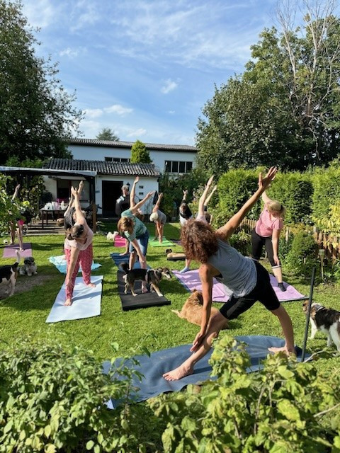Gruppe von Menschen, die Yoga mit Hunden im Garten in Hannover praktiziert.