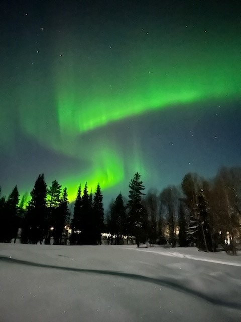 Nordlichter über verschneitem Wald bei Nacht