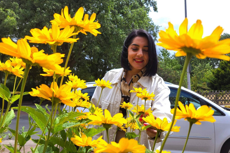 Shiri zwischen gelben Blumen im Garten Shiri im Garten zwischen gelben Blumen an einem sonnigen Tag
