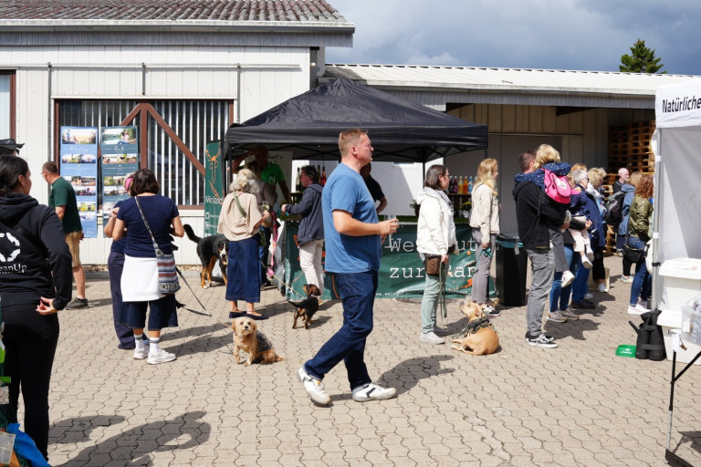Sommerfest Rudel Friends x DiFonzo – Besucher und Hunde am Getränkestand Sommerfest von Rudel Friends x DiFonzo mit Besuchern und Hunden vor einem Getränkestand
