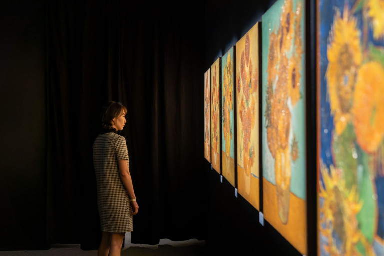 Van Gogh Ausstellung: Frau betrachtet berühmte Gemälde Frau betrachtet Van Gogh Gemälde in einer Kunstausstellung
