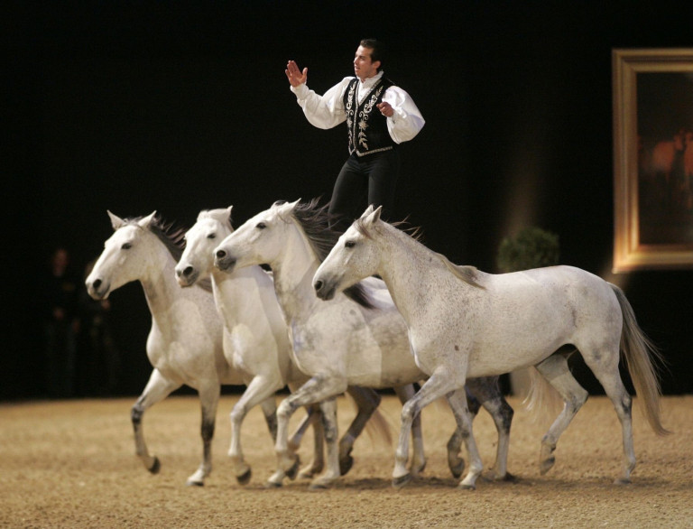 Showreiter bei einer Pferdedressur im Mantelhaus Kaiser