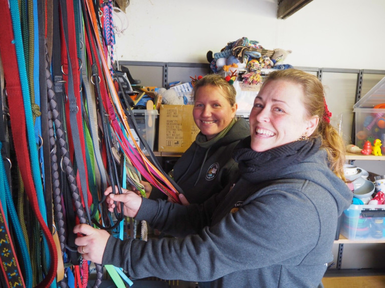 Tafel für Tiere Hannover – Mitarbeiterinnen sortieren Hundeleinen und Tierzubehör im Lager Mitarbeiterinnen der Tafel für Tiere Hannover sortieren Hundeleinen und Tierzubehör im Lager