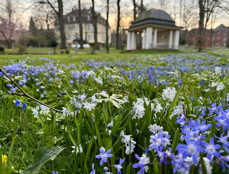 Frühlingsblumen im Garten vor einem historischen Gebäude und Pavillon – Nobilis Web