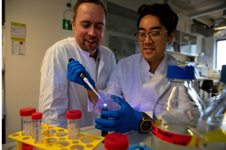 Wissenschaftler im Labor bei einem Experiment mit Pipette und Petrischale, lachmann-3