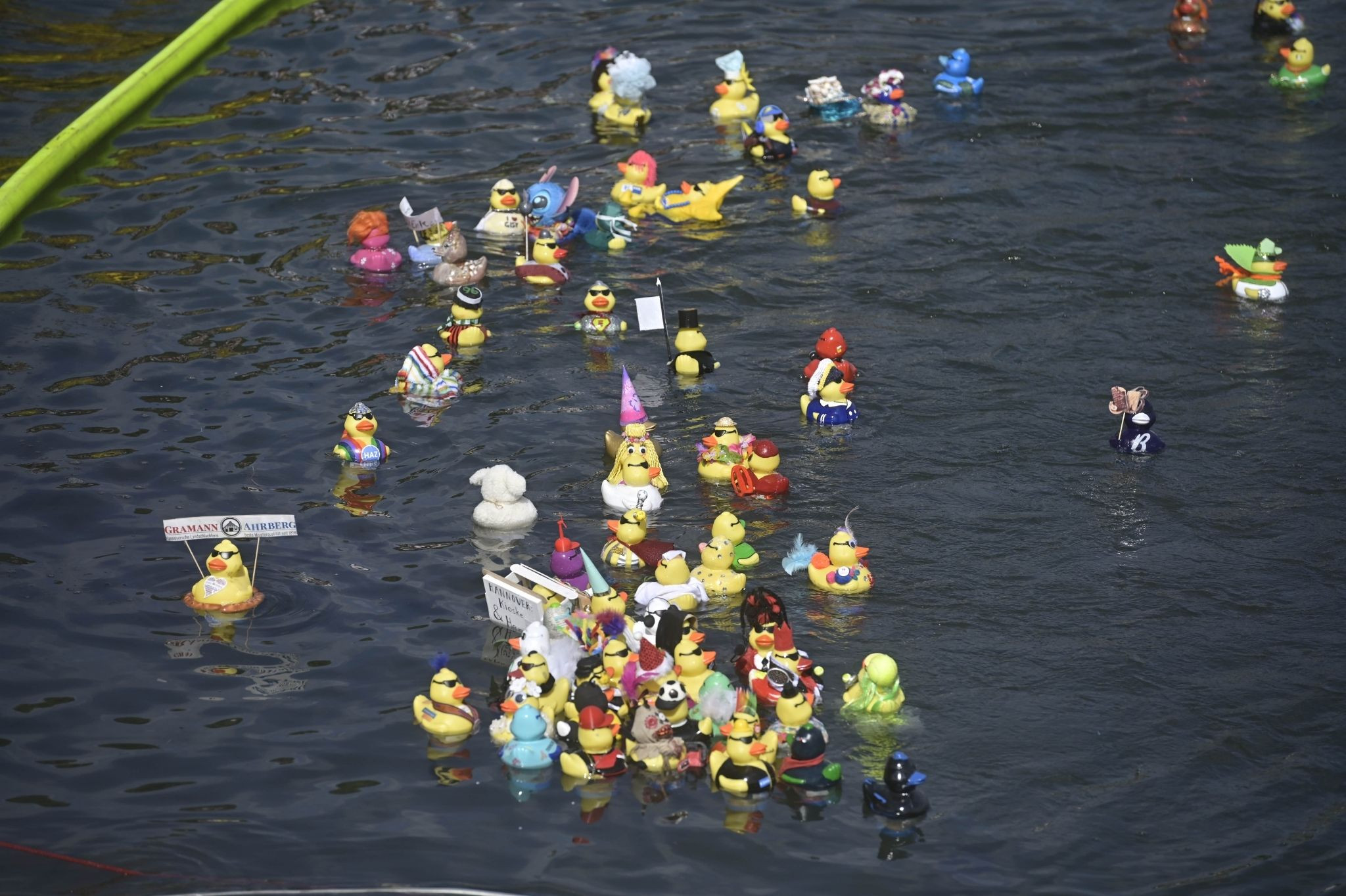 Bunte Gummienten beim Entenrennen auf dem Wasser, aufgenommen für nobilis web