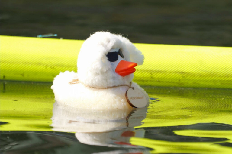 Badeente aus Wolle auf Wasser mit Sonnenbrille, bilder-nobilis-web-4